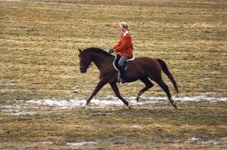 Graf Faedo - Vater Fenris unter Doris Graf