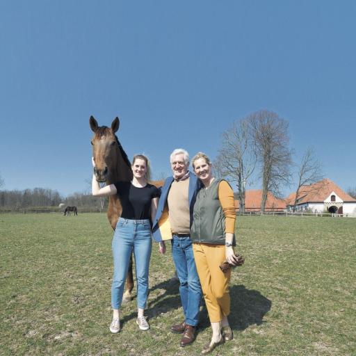 Pferdezucht inmitten einer traumhaften Landschaft