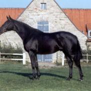 Bundeschampionat 2002