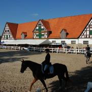 ZfdP Bundesschau zum 10. Mal im Gestüt Altefeld