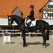 ZfdP Bundesschau 2008