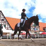 18. ZfdP Bundesschau auf dem Hauptgestüt Altefeld
