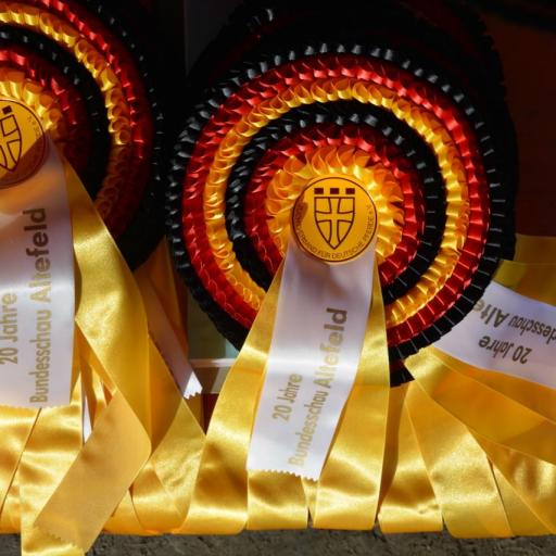 Dornröschen zum Champion gekürt