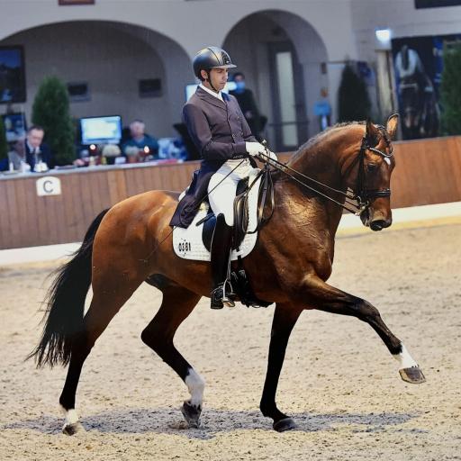 Altefelds Vienetto im Grand Prix erfolgreich