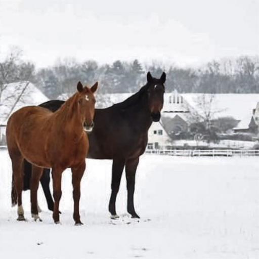 Winterliche Landschaft im Ringgau