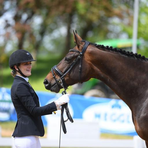 Altefelds Esther erfolgreich bei der Pferd International 