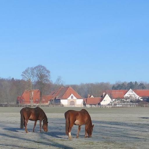 Winteridyll auf den Ringgau-Höhen