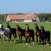 Altefeld: Tradition und Fortschritt